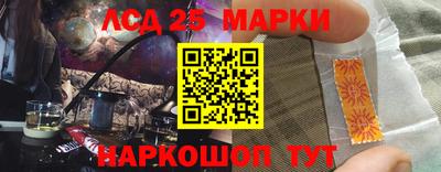 дмт Кандалакша
