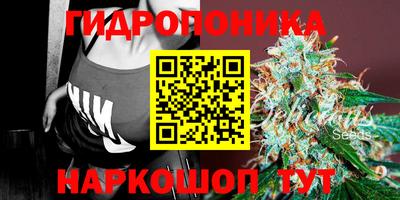 таблы Камышлов