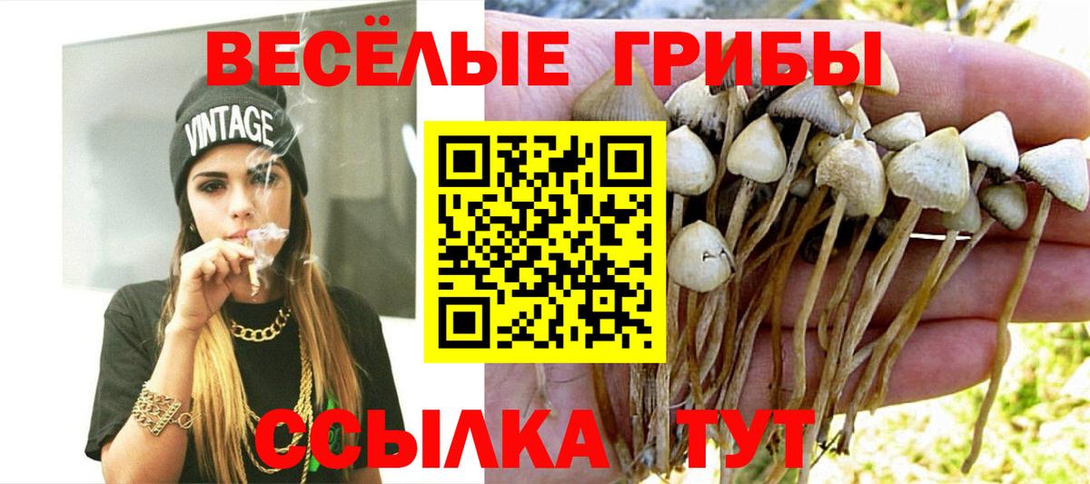 наркота  Галлюциногенные грибы прущие грибы  Вход с VPN  Красноуфимск 