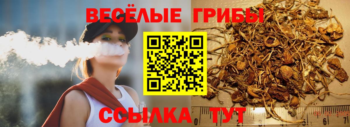 Псилоцибиновые грибы Psilocybe Красноуфимск